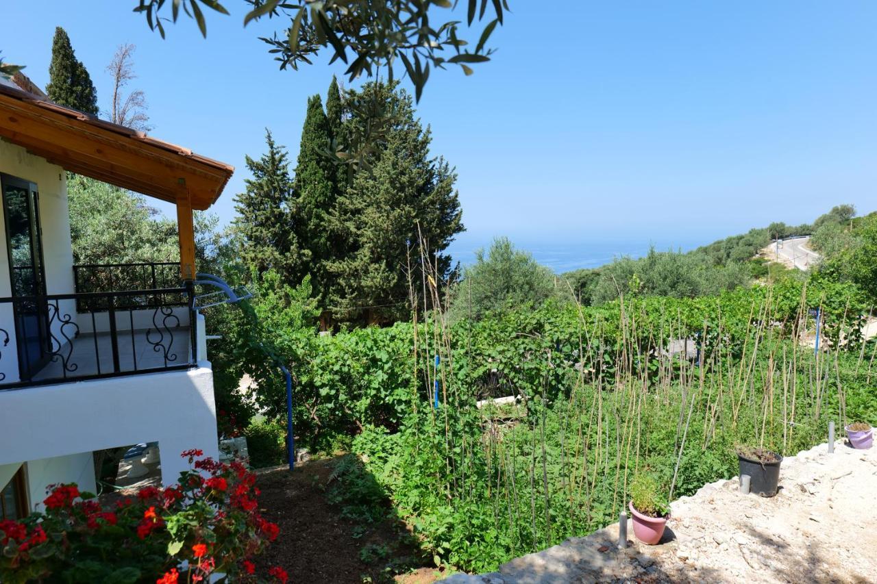 לינה וארוחת בוקר Vila Panorama Piqeras מראה חיצוני תמונה