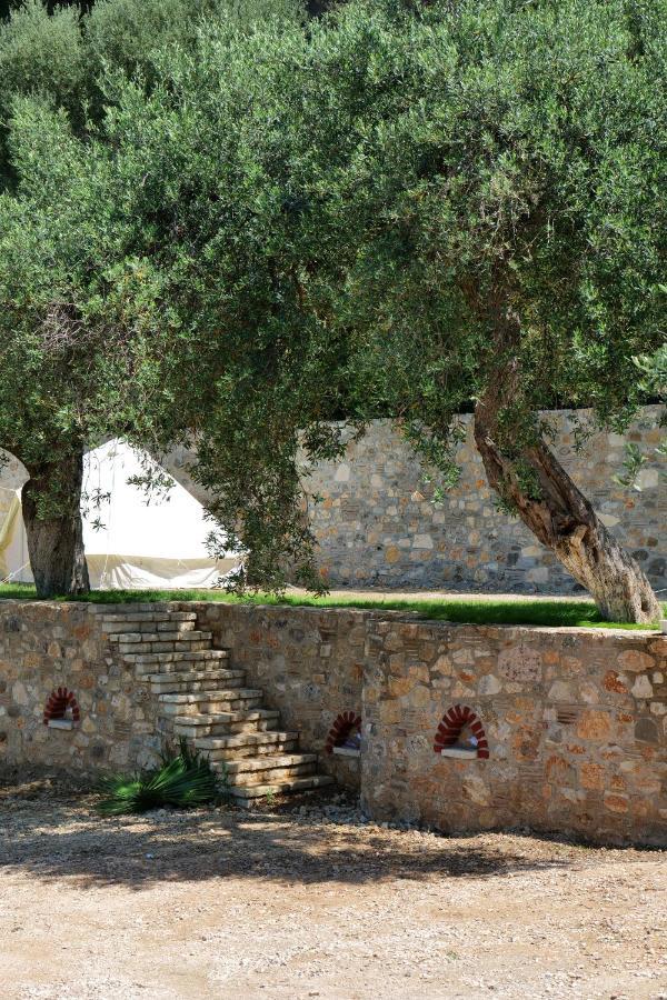 לינה וארוחת בוקר Vila Panorama Piqeras מראה חיצוני תמונה